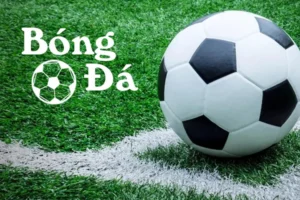 Giải Mã Quy Định Bóng Trong Cuộc Và Bóng Ngoài Cuộc Mới Nhất