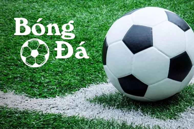Giải Mã Quy Định Bóng Trong Cuộc Và Bóng Ngoài Cuộc Mới Nhất