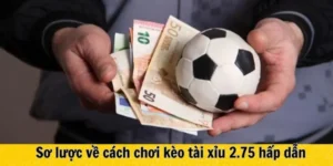 Kèo 2.75 Là Gì Và Cách Tính Thắng Thua Chi Tiết Nhất
