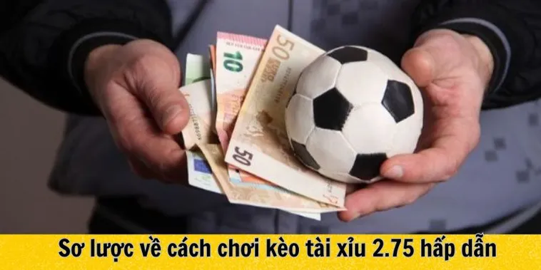 Kèo 2.75 Là Gì Và Cách Tính Thắng Thua Chi Tiết Nhất