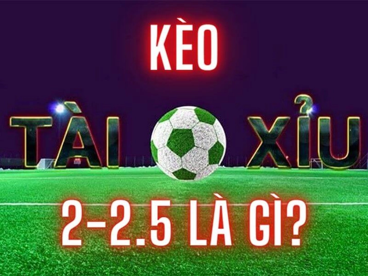 Bí Kíp Đọc Kèo 2.25 Chính Xác Dành Cho Người Mới Bắt Đầu