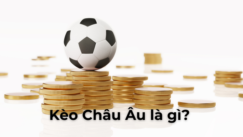 Hiểu Đúng Về Kèo Châu Âu Để Tối Ưu Hóa Chiến Thắng 1X2